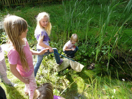 Kinder erforschen die Natur